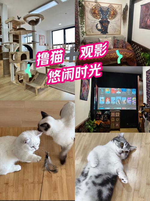 吃奶一区二区三区va的相关介绍