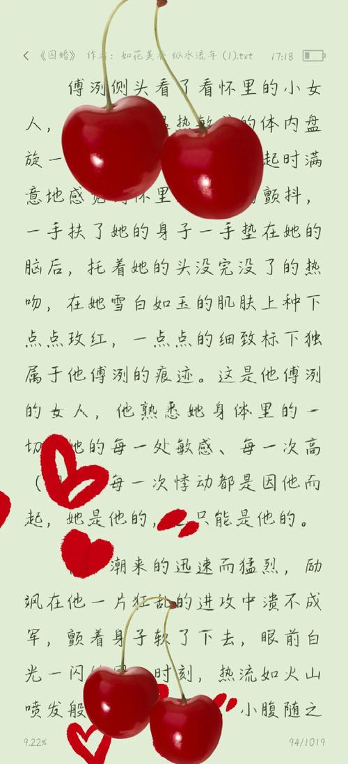 iidvd影院的相关介绍