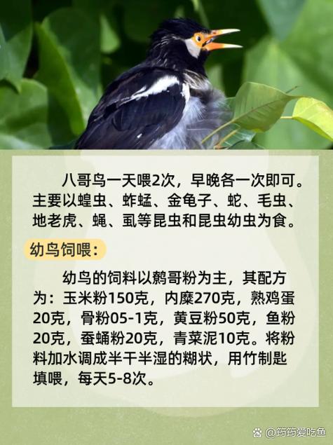 yy6029新视觉影院的相关介绍