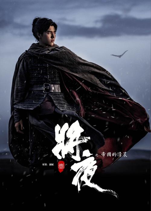久久久久久久久国产精品激情电影的相关介绍