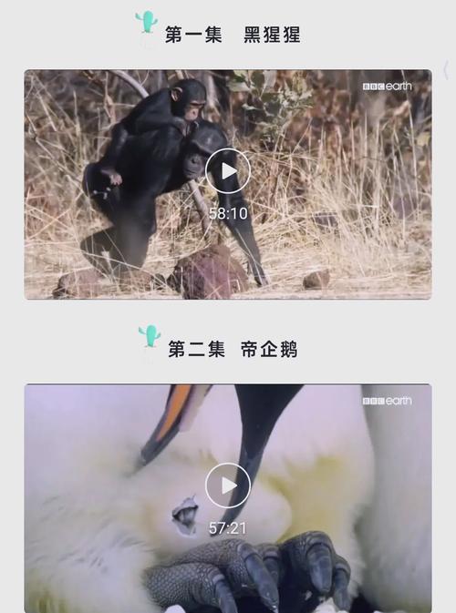 六九影院的相关介绍