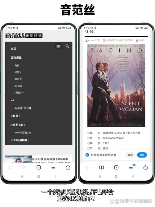 暴露癖调教(高h,)小说的相关介绍