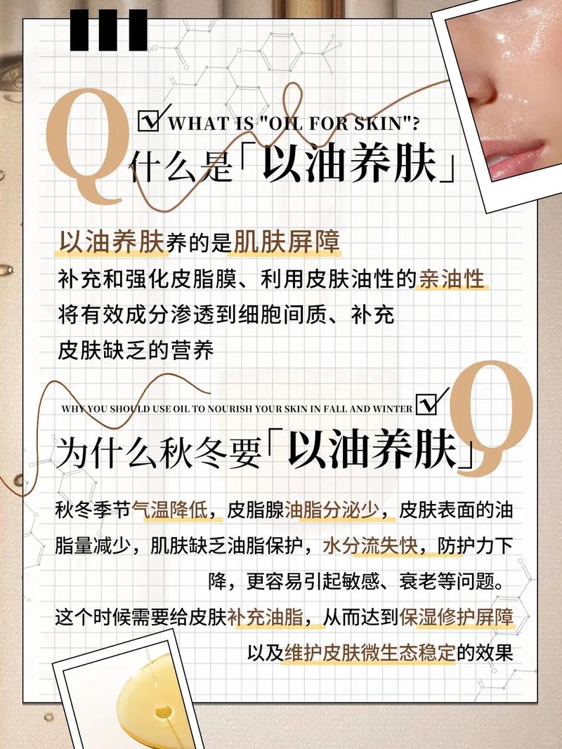 18款免费app大全的相关介绍