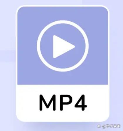 99久久国产精品毛片的相关介绍