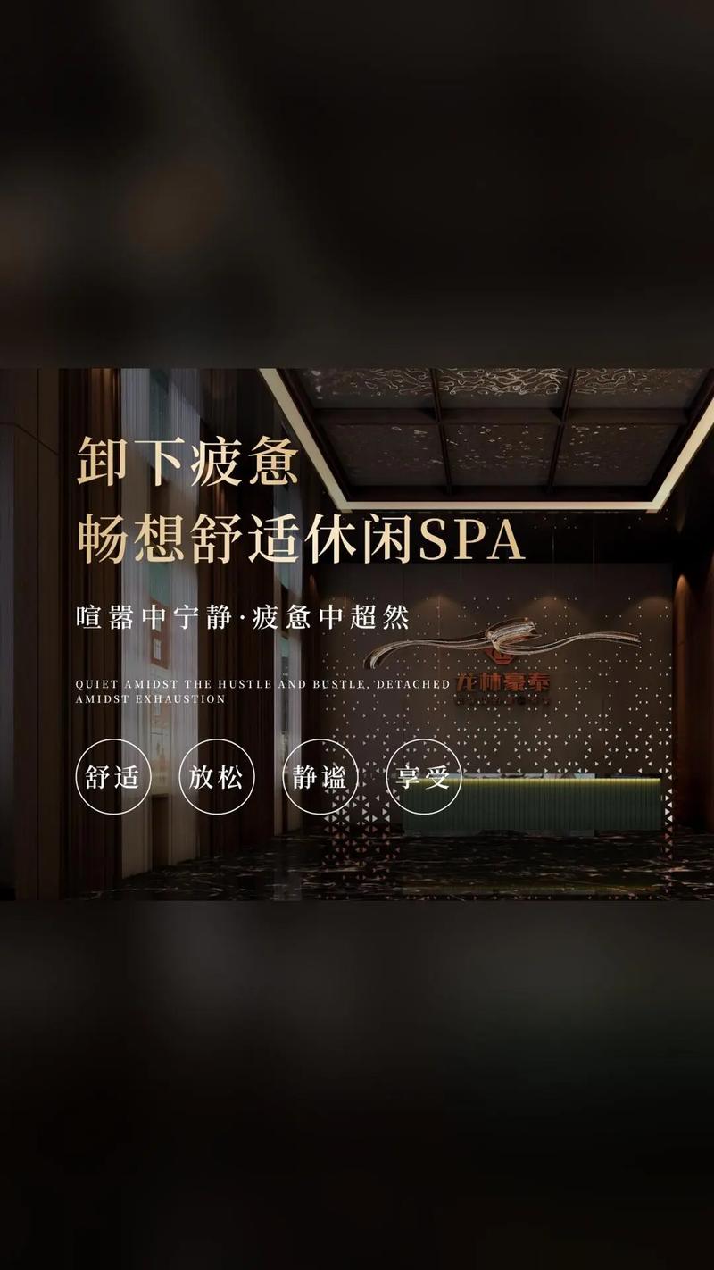 免费视频下载网站app的相关介绍
