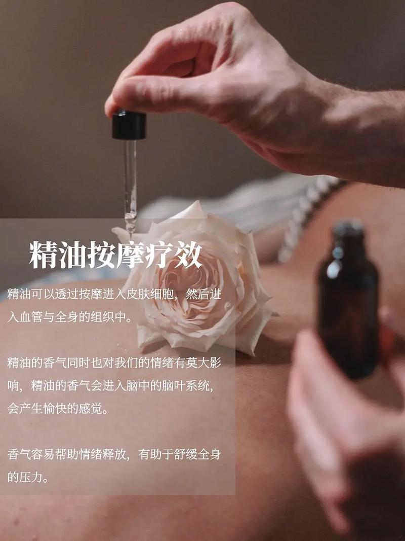 久久久久久精品网的相关介绍