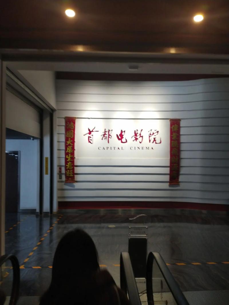 3毛片的相关介绍