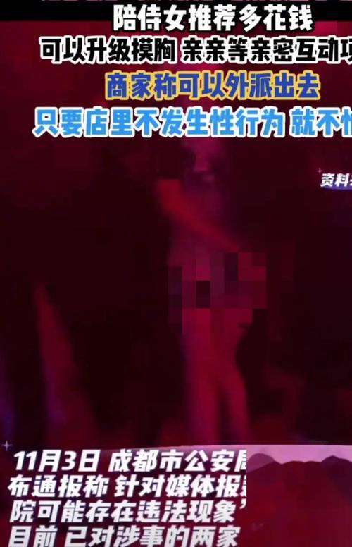 新新影院理论12页的相关介绍