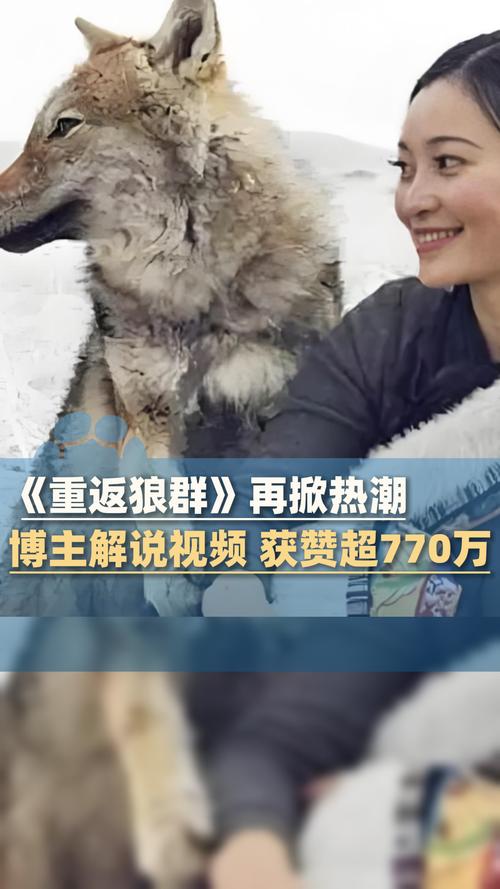 神马影院六度手机在线观看的相关介绍
