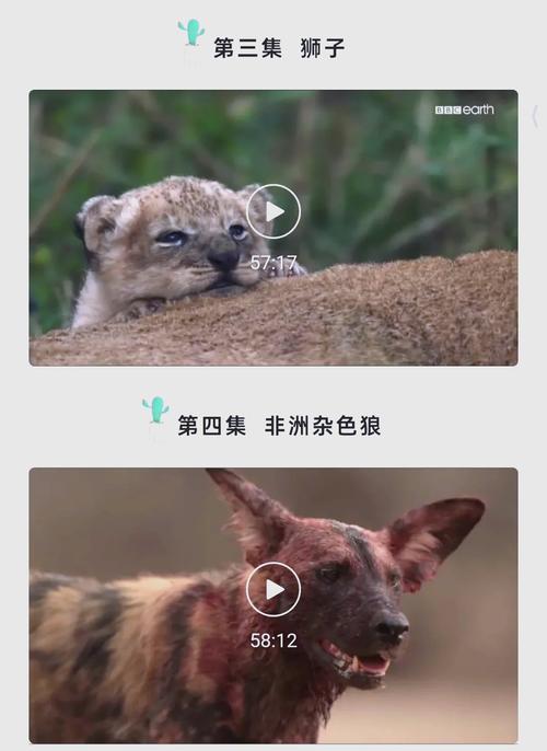 jzzjzzjzz亚洲成孰少妇的相关介绍