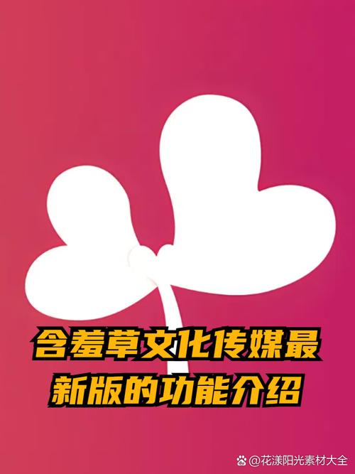 美女老师被上的相关介绍