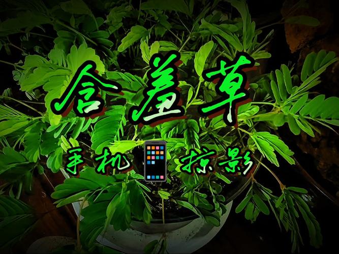 人妻少妇av系列一区二区的相关介绍