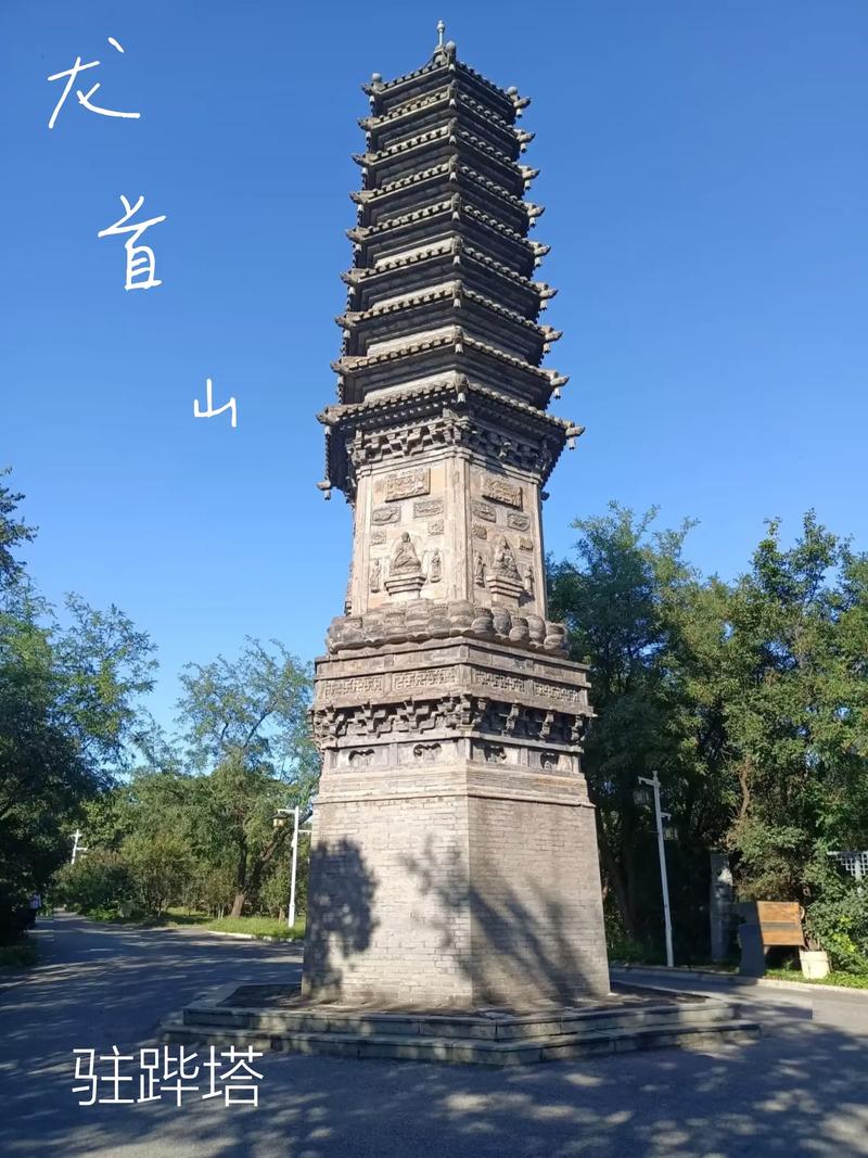 岛国毛片大片的相关介绍