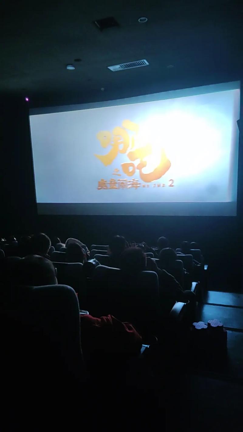 韩国三及毛片的相关介绍