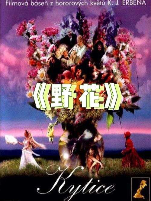 小说 邻居少妇的相关介绍