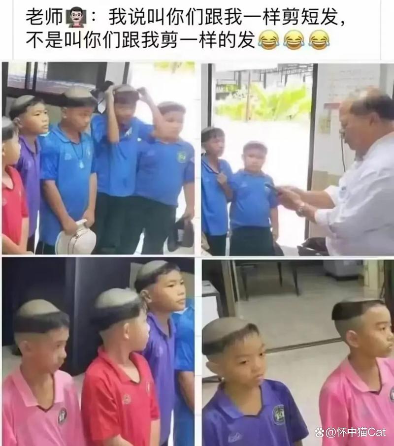 菠萝蜜影院的相关介绍