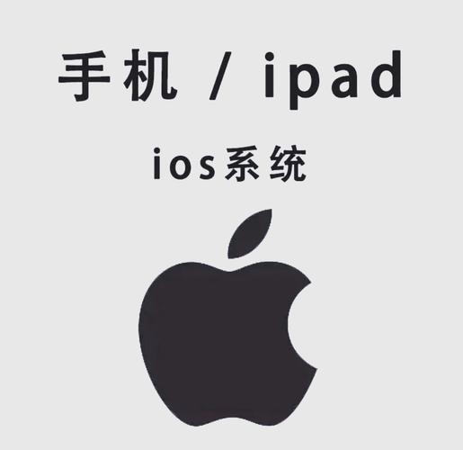 单身影院的相关介绍