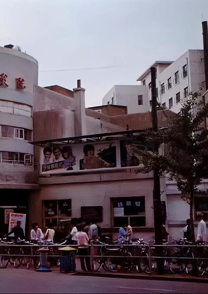免费视频app全免费的相关介绍