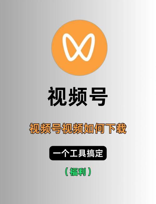 快播看片毛网站的相关介绍