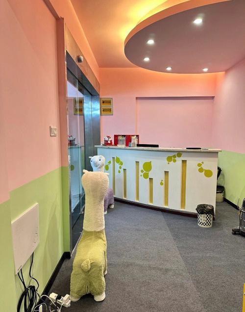 老司机影院直播视频免费的相关介绍