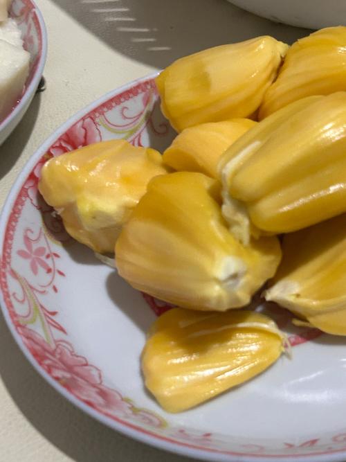 快看视频app下载的相关介绍