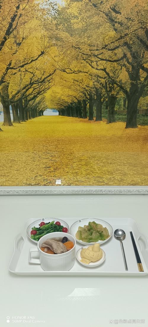 浮力影院2的相关介绍