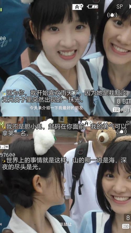 欧美精品久久久久久干草小说的相关介绍