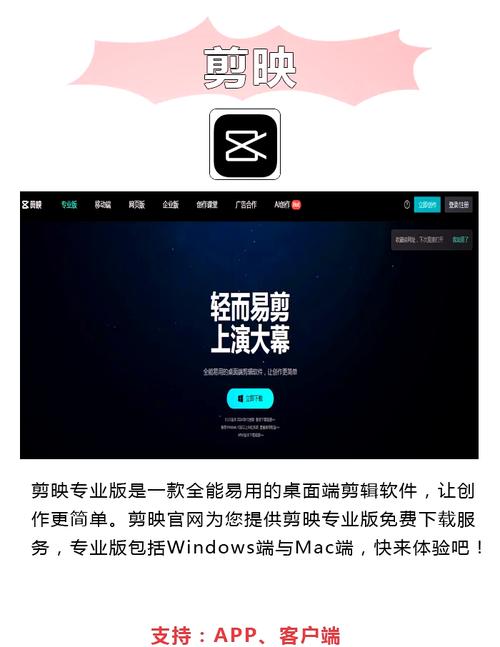 丰满人妻啪啪啪啪的相关介绍