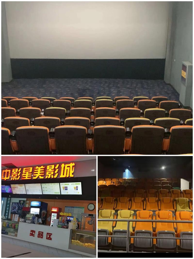 欧美老女人一区二区的相关介绍