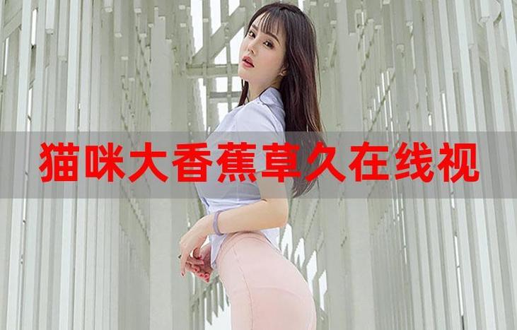 yy6080新视界影视影院无敌马的相关介绍
