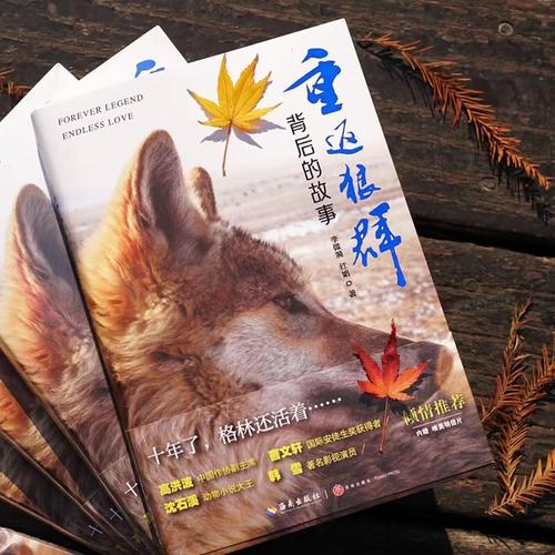 天天影院下载的相关介绍