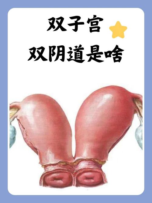 成人午夜淫片av的相关介绍