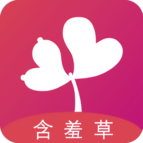 6080新视界电影院的相关介绍