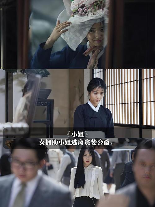 操美女冒白浆视频的相关介绍
