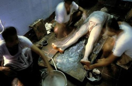 俄罗斯毛片网的相关介绍