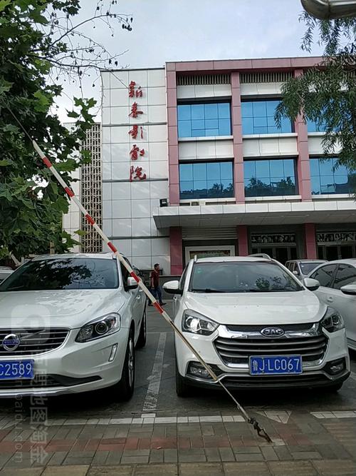 柴犬一片一片的掉毛的相关介绍