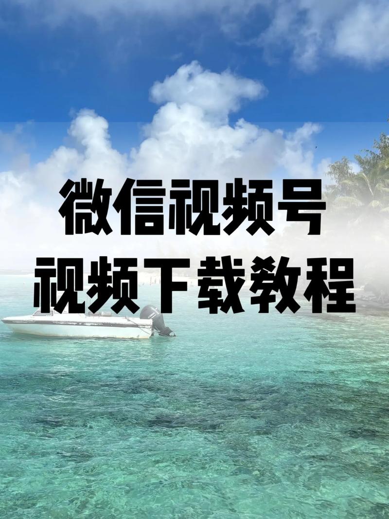 芒果影院的相关介绍