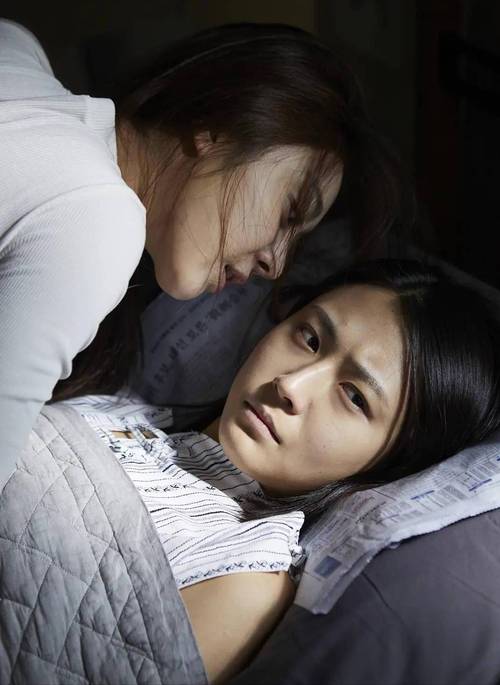 亚洲麻豆少妇的相关介绍