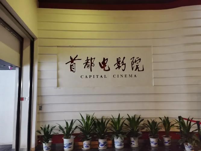 力力影院的相关介绍