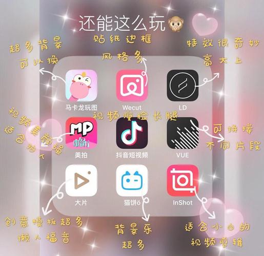 大胸美女毛片的相关介绍