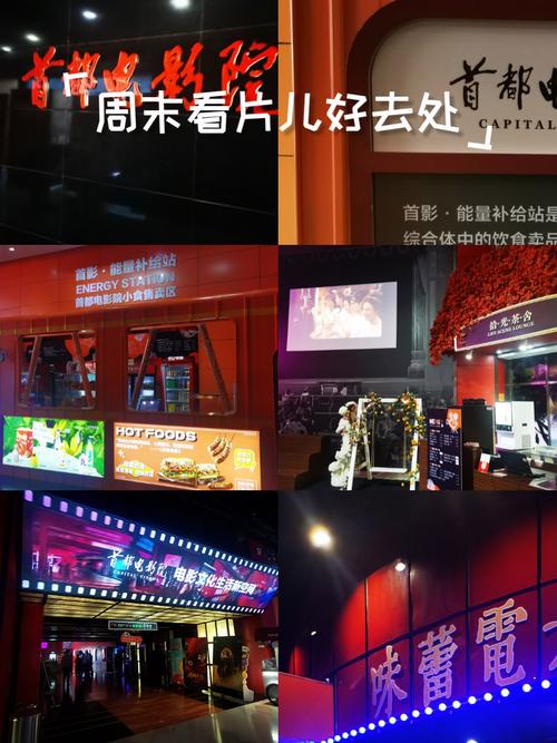 啪啪啪电影院的相关介绍