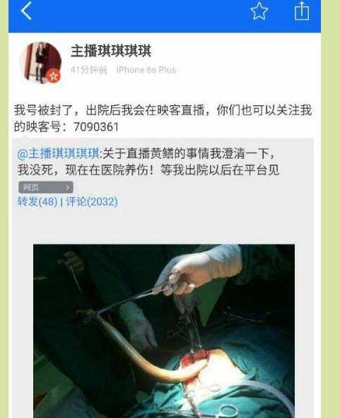 神马影院午夜的相关介绍