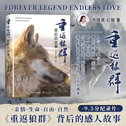 森泽佳奈大奶子秘书的相关介绍