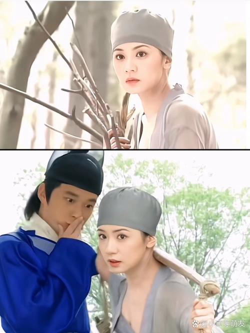 熟女少妇三区的相关介绍