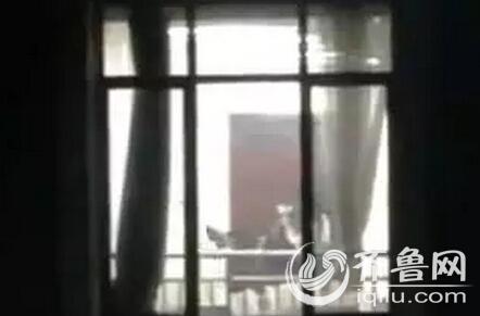 eeuss影院手机在线观看的相关介绍