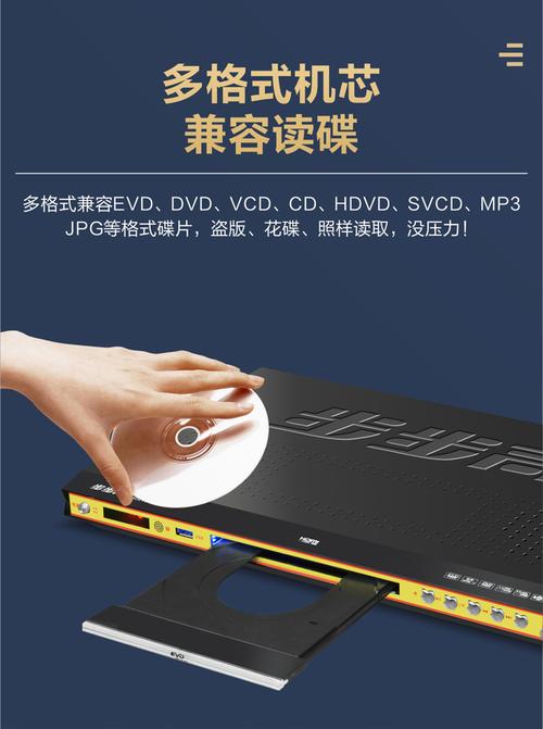 辣文高h强暴的相关介绍