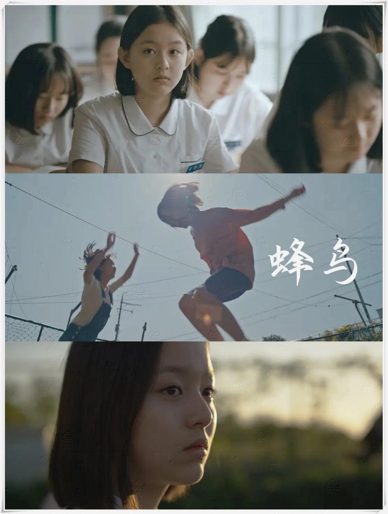 欧美大尺度aa的相关介绍