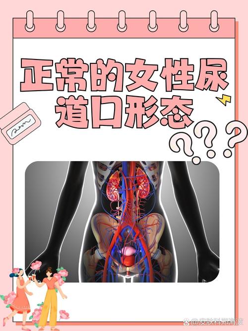 天堂电影院网站的相关介绍