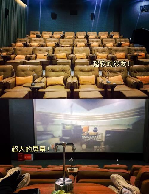 看一下毛片的相关介绍