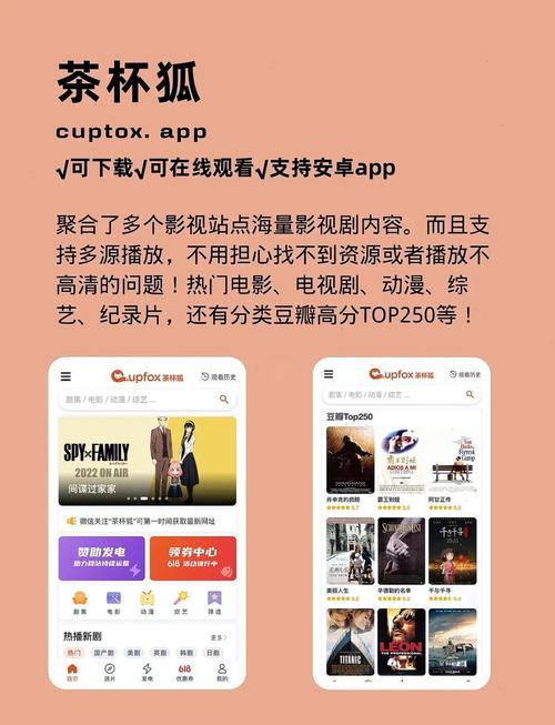 中国影院的相关介绍